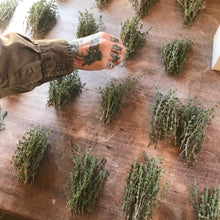 Load image into Gallery viewer, THYME, GERMAN