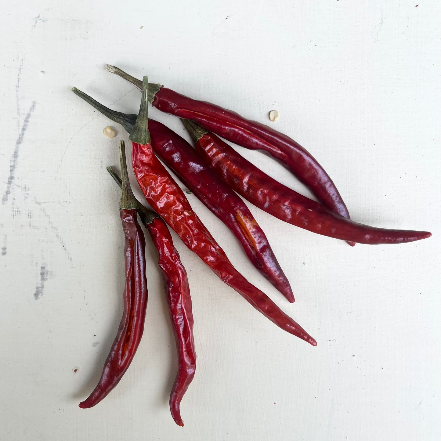 Chile de Arbol