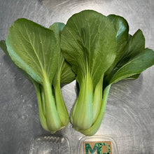 Load image into Gallery viewer, Grab + Go Spring Vegetable Bag! ...scroll down/click "view full details" to see what's in the bag FIRST ROUND OF BAGS OFFERED FOR 4/25 HAVE SOLD OUT. THANK YOU!
