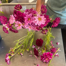 Load image into Gallery viewer, COSMOS, DOUBLE CLICK BONBON MIX
