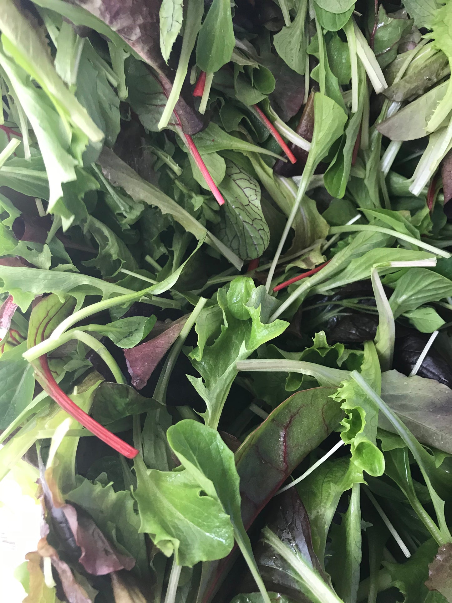Grab + Go Summer Vegetable Bag! ...scroll down/click "view full details" to see what's in the bag