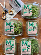 Load image into Gallery viewer, Grab + Go Spring Vegetable Bag! ...scroll down/click "view full details" to see what's in the bag FIRST ROUND OF BAGS OFFERED FOR 4/25 HAVE SOLD OUT. THANK YOU!
