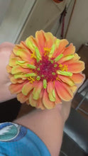 Load and play video in Gallery viewer, ZINNIA, QUEENY LIME MIX (CUTTING)
